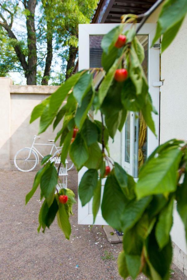 Ekonom-Domik Hotel Oldenburg Bagian luar foto